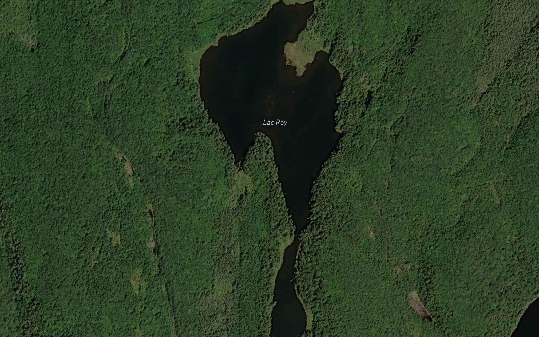 Satellite map of the Lac Roy