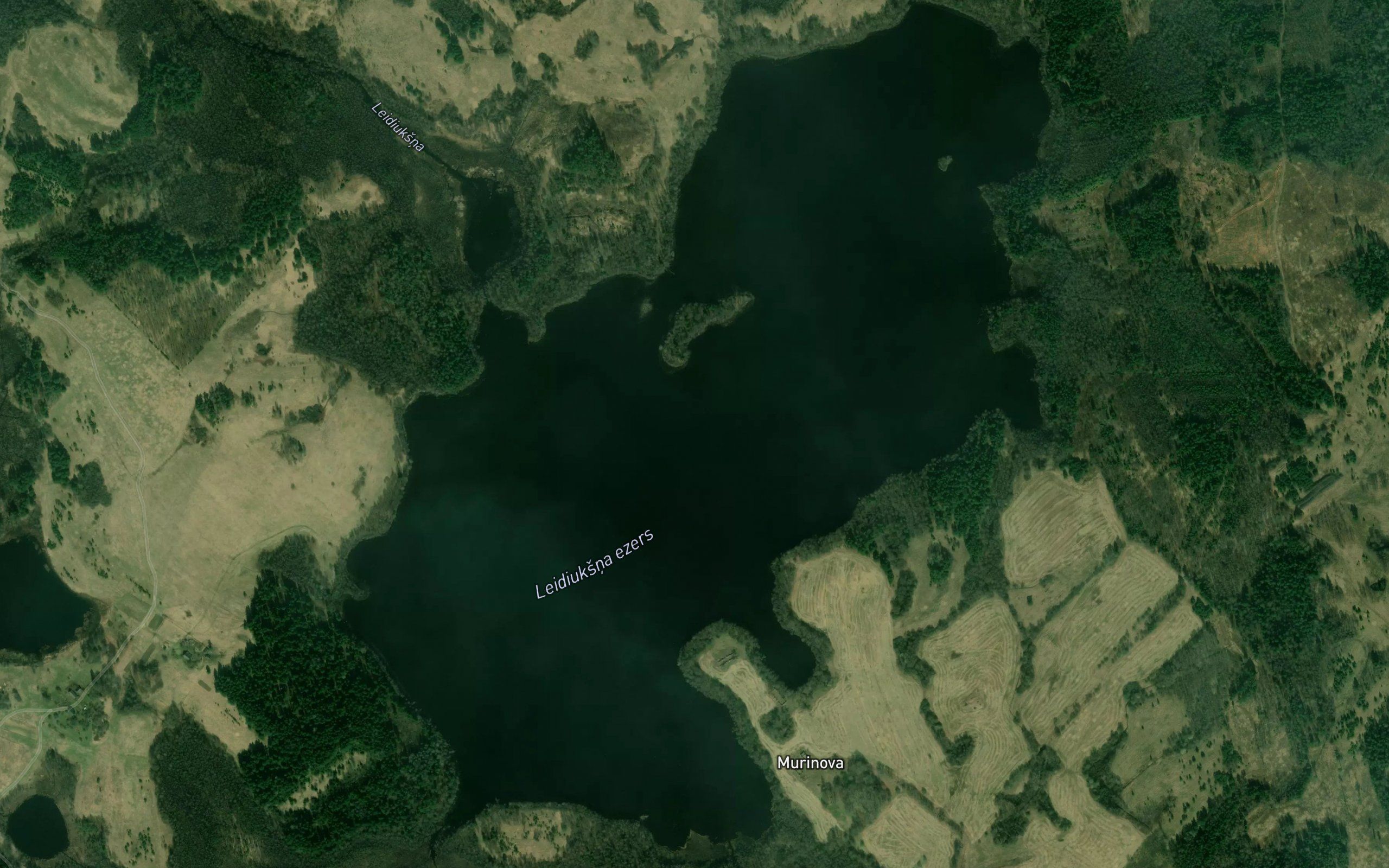Leidiuksna Ezers
