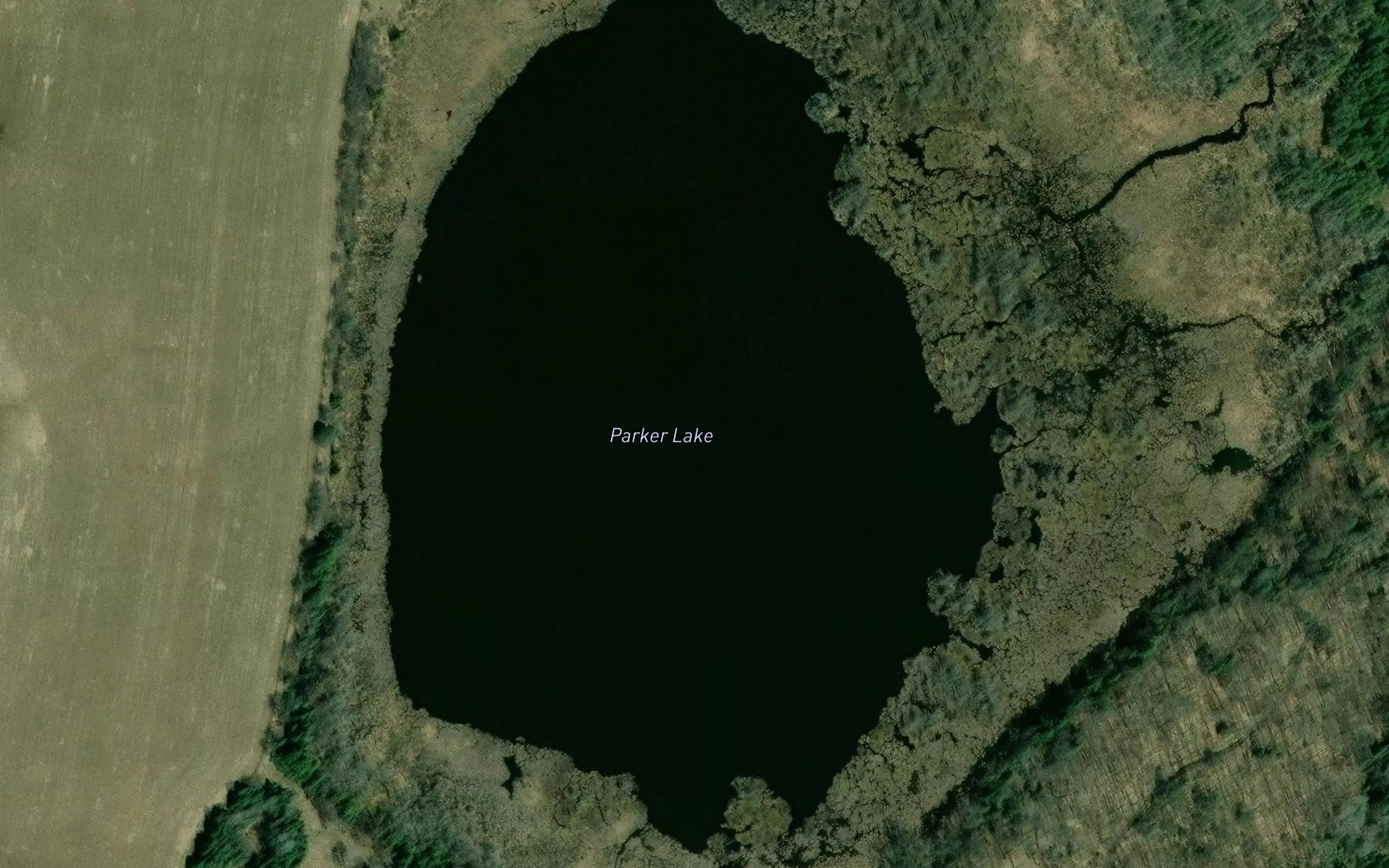Parker Lake