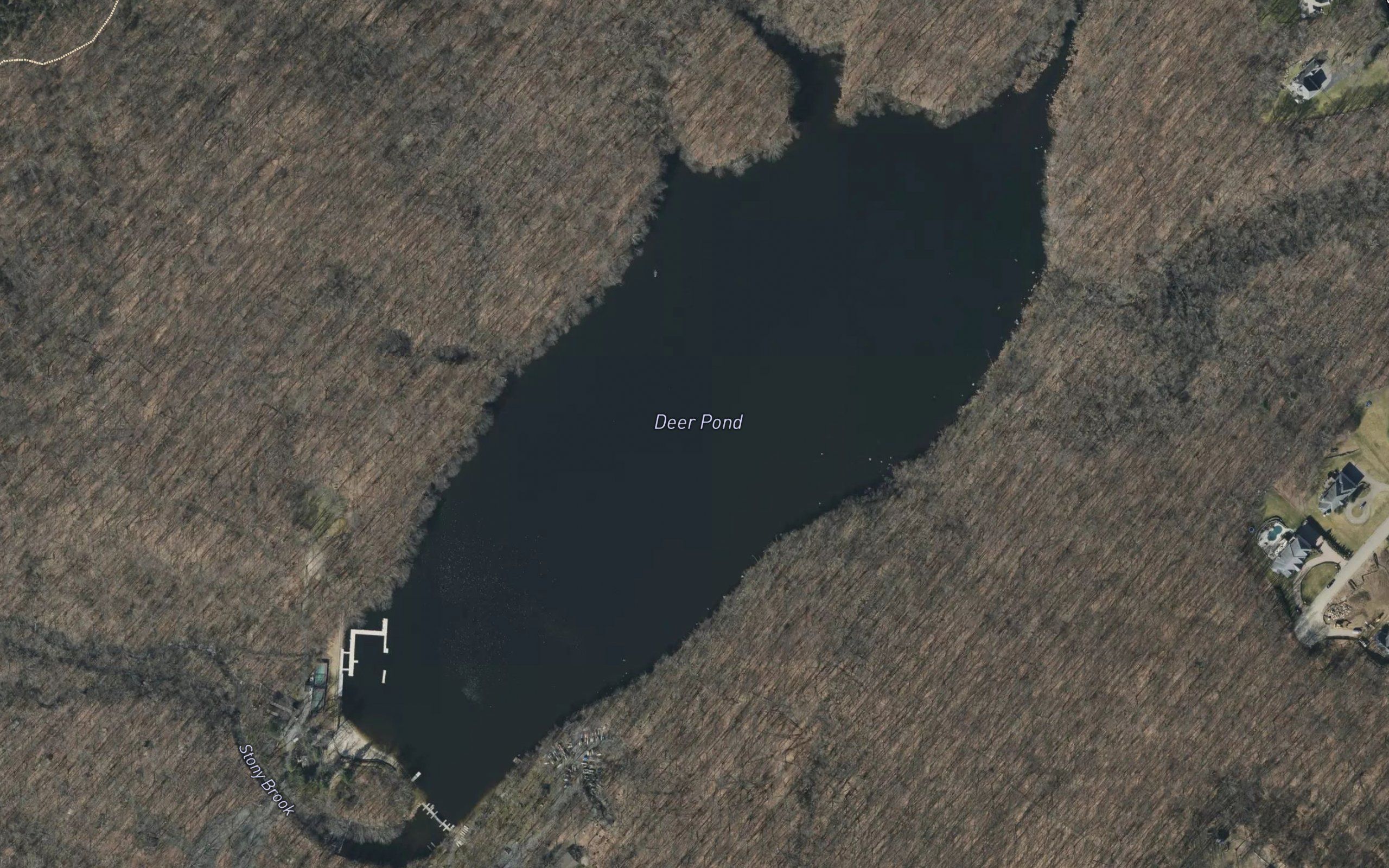 Deer Pond