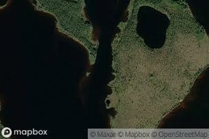 Narasenvirta
