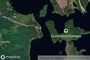 Verkkosalmi