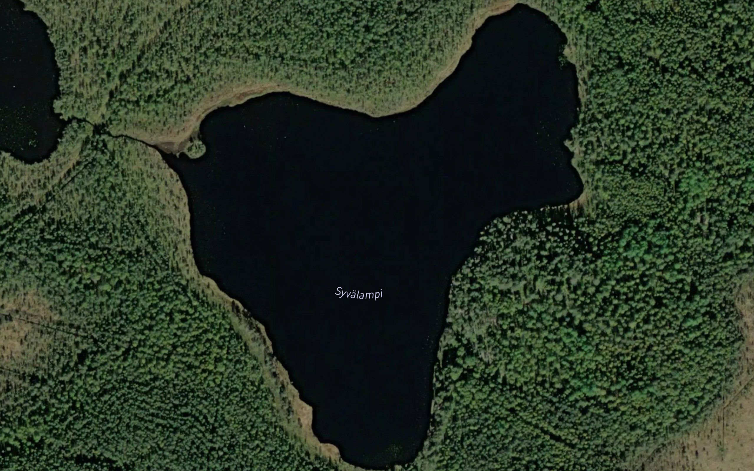 Syvalampi
