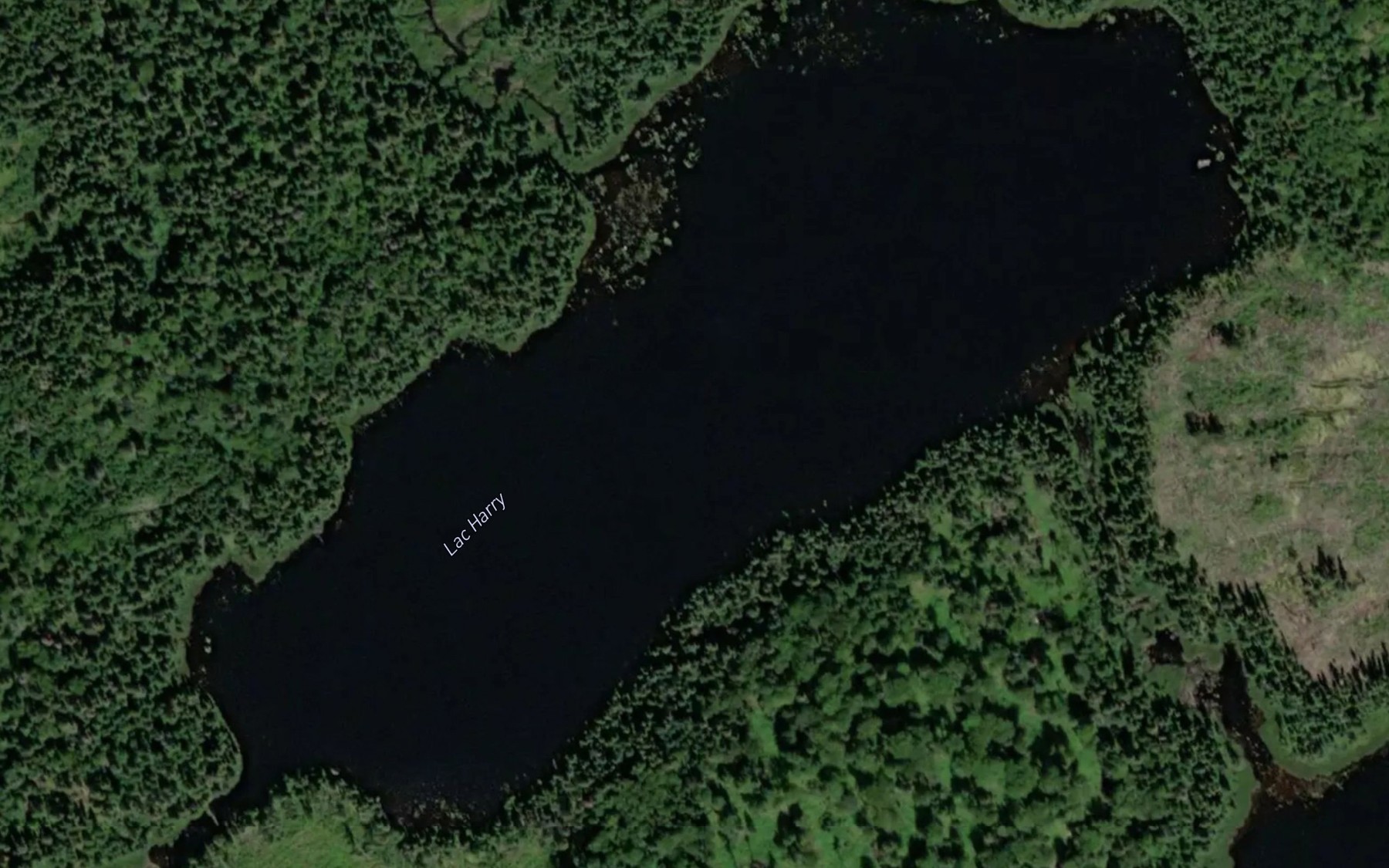 Satellite map of the Lac Harry
