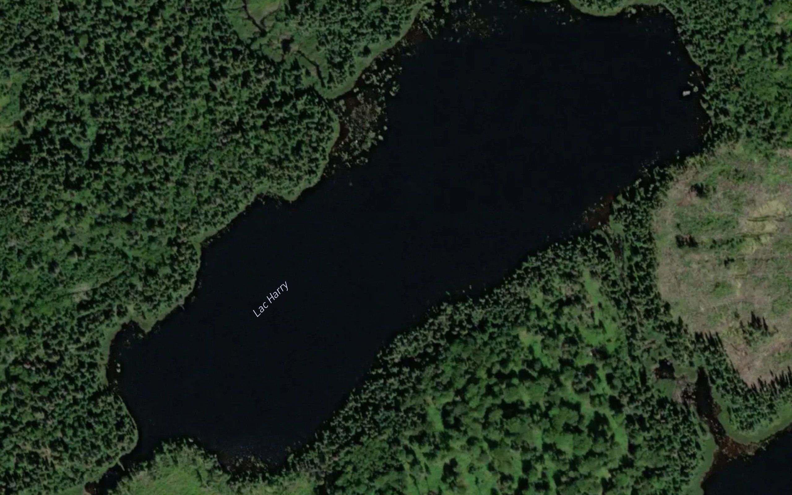 Lac Harry