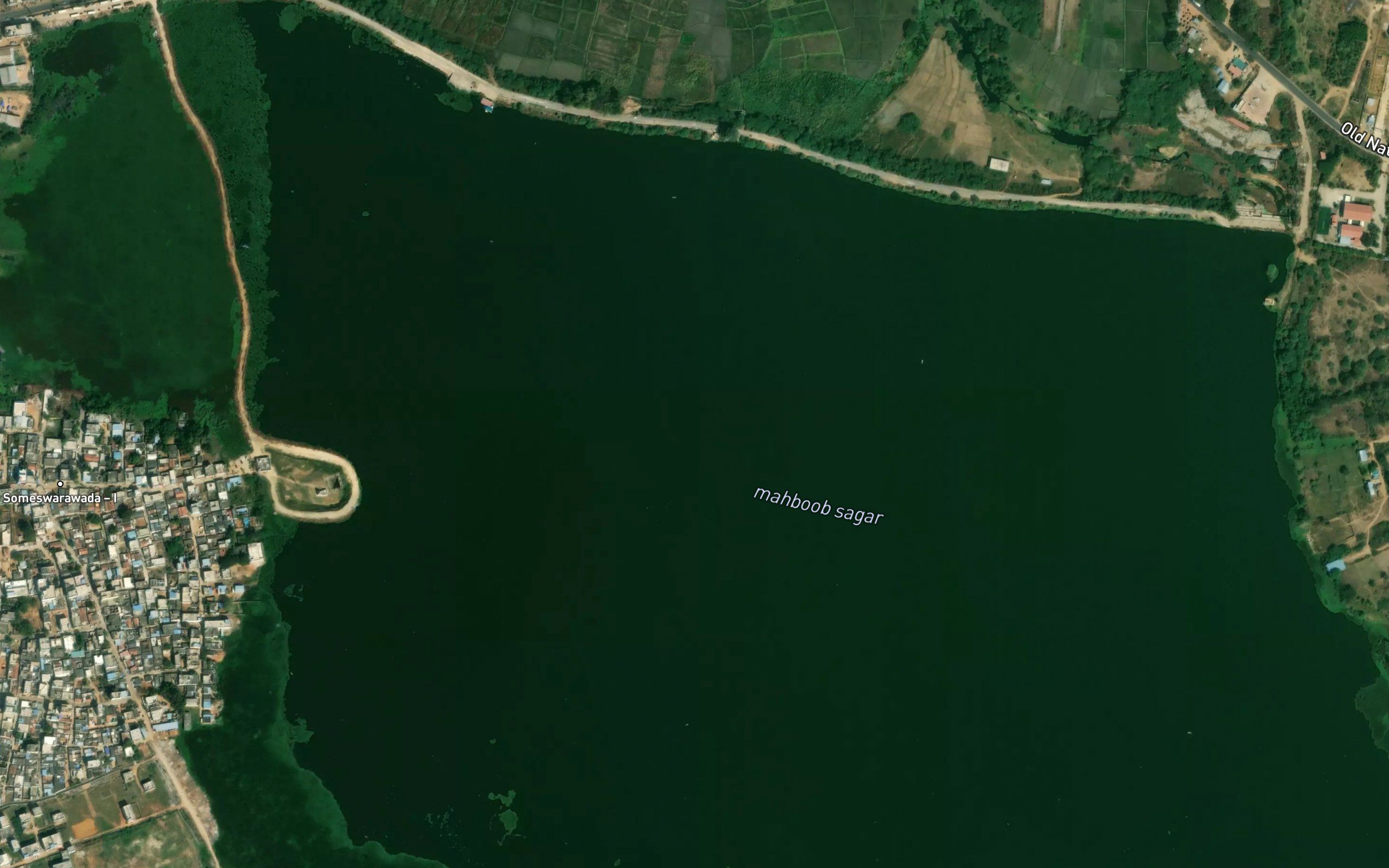Mahbub Sagar