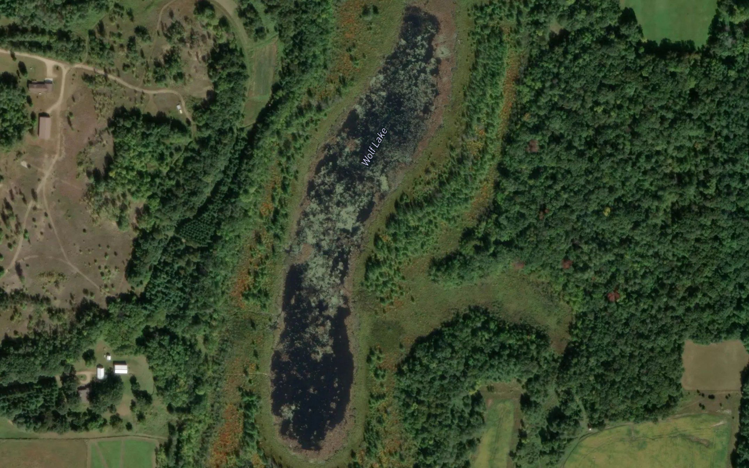 Wolf Lake