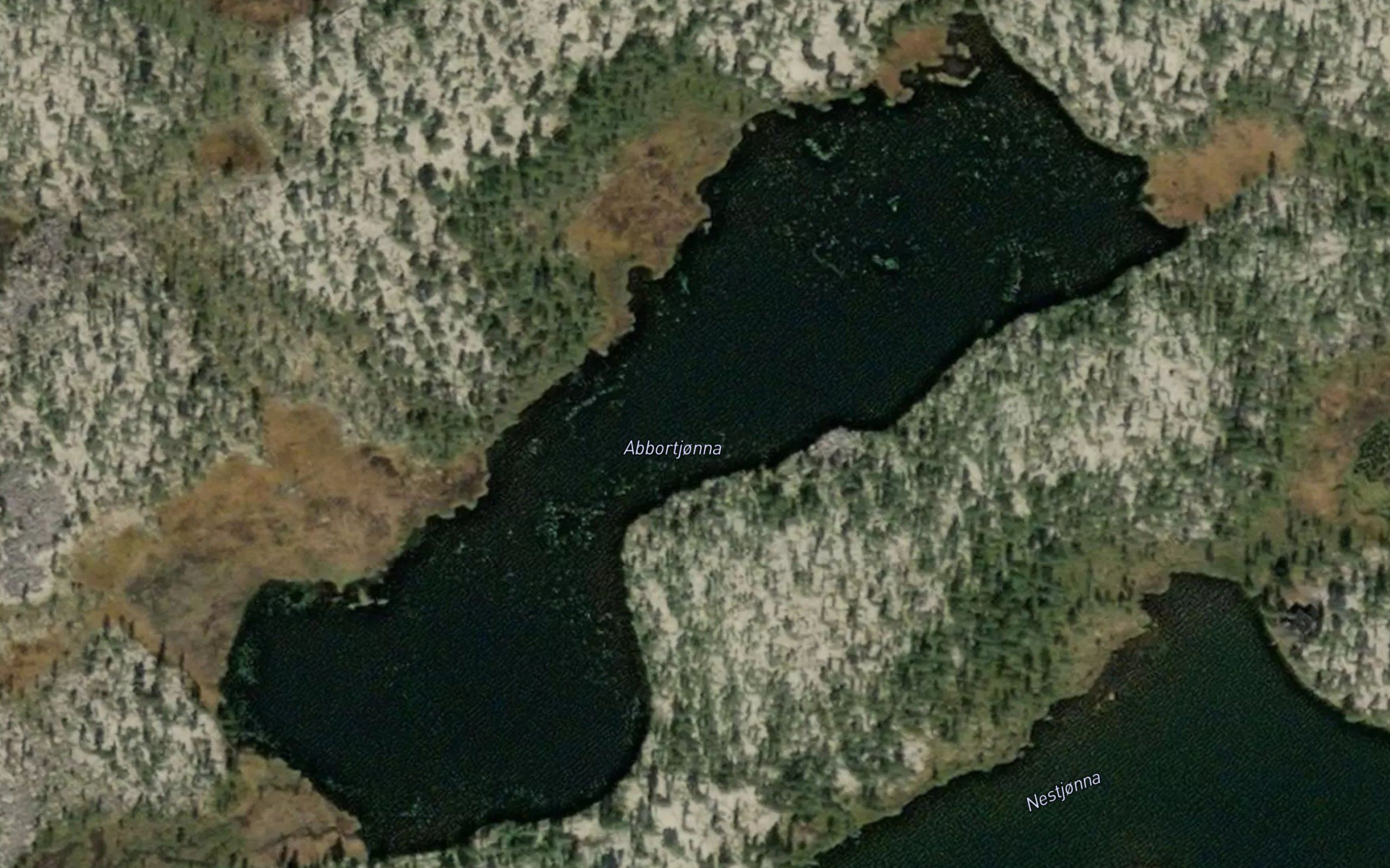 Abbortjonna