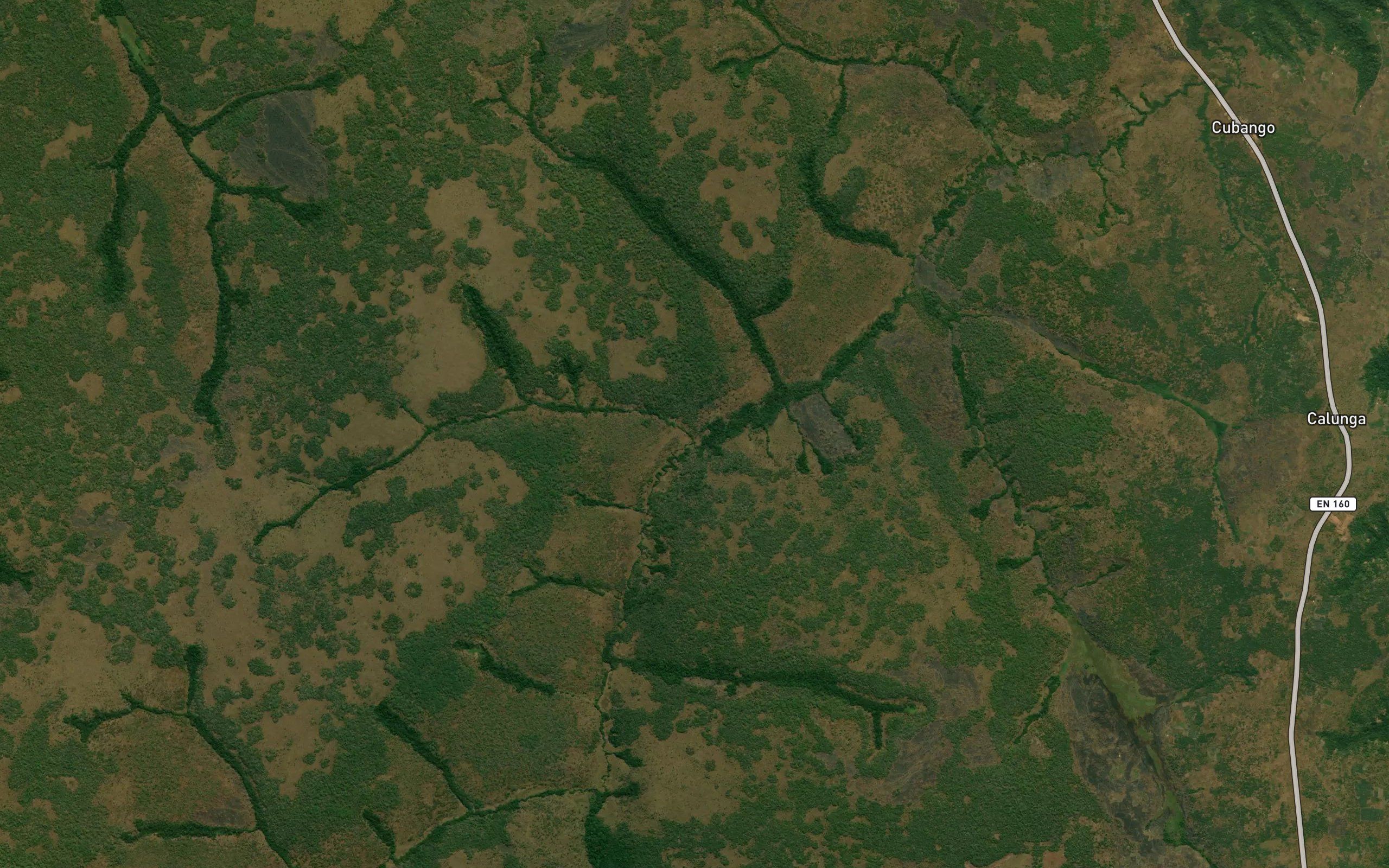 Ngola