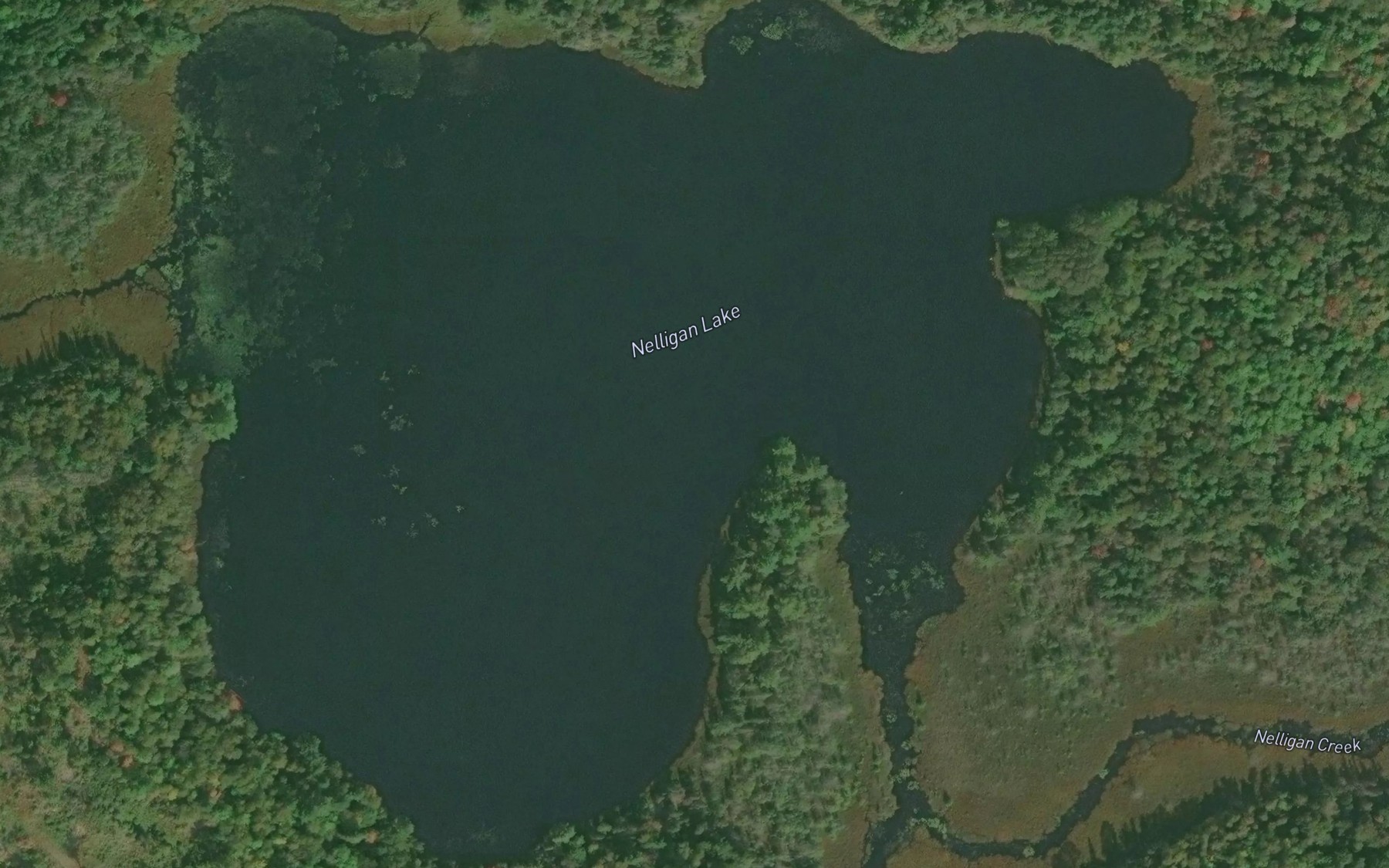 Satellite map of the Nelligan Lake