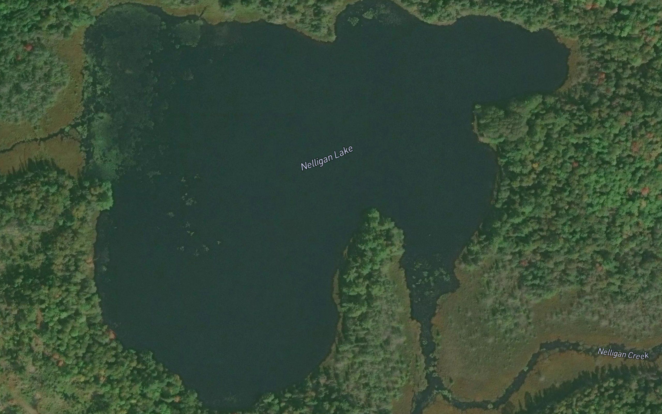 Nelligan Lake