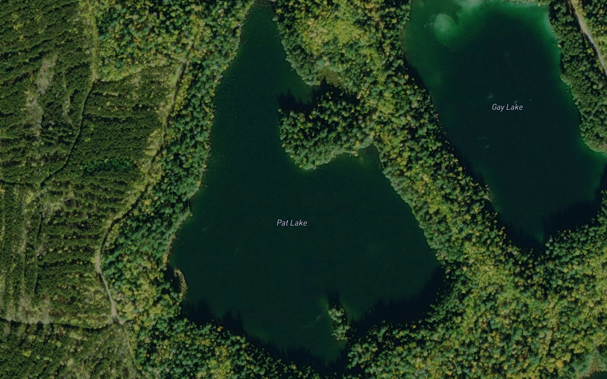 Pat Lake