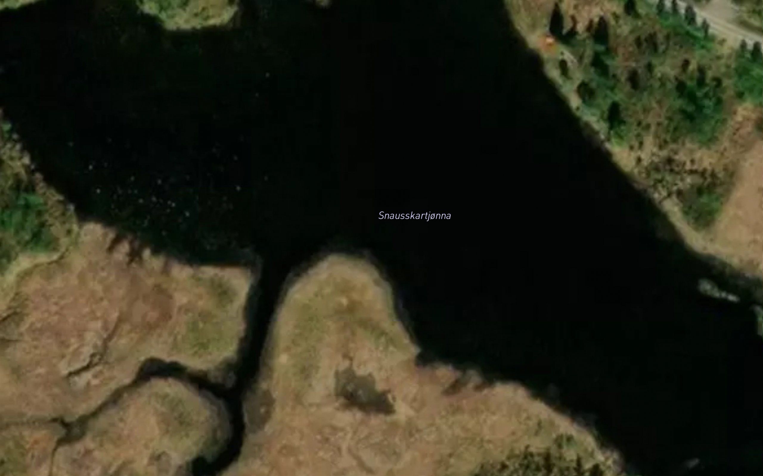 Snausskortjorna