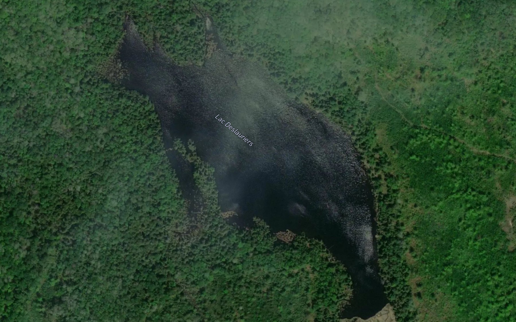 Satellite map of the Lac Deslauriers