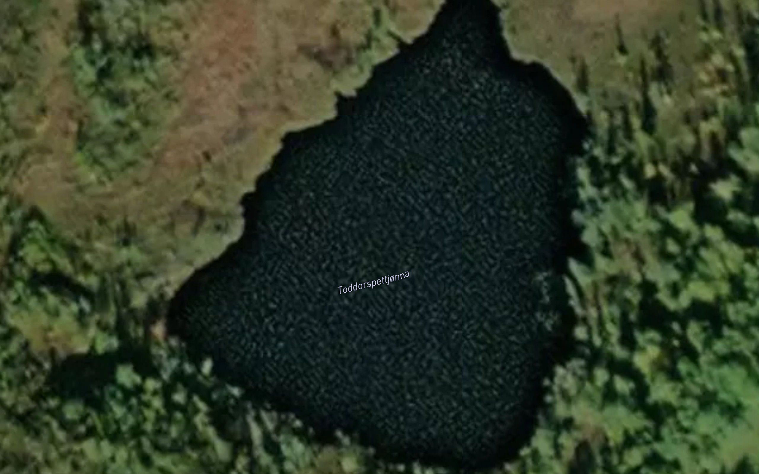 Toddorspettjonna