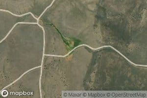 Dolton Spring
