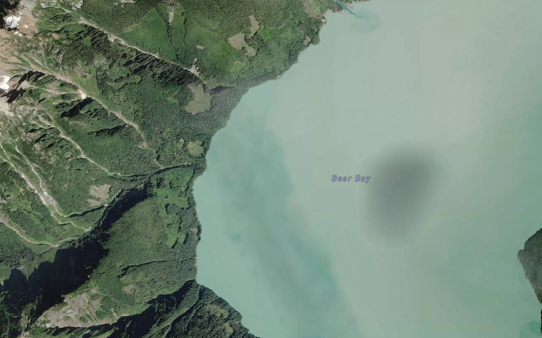 Satellite map of the Bear Bay
