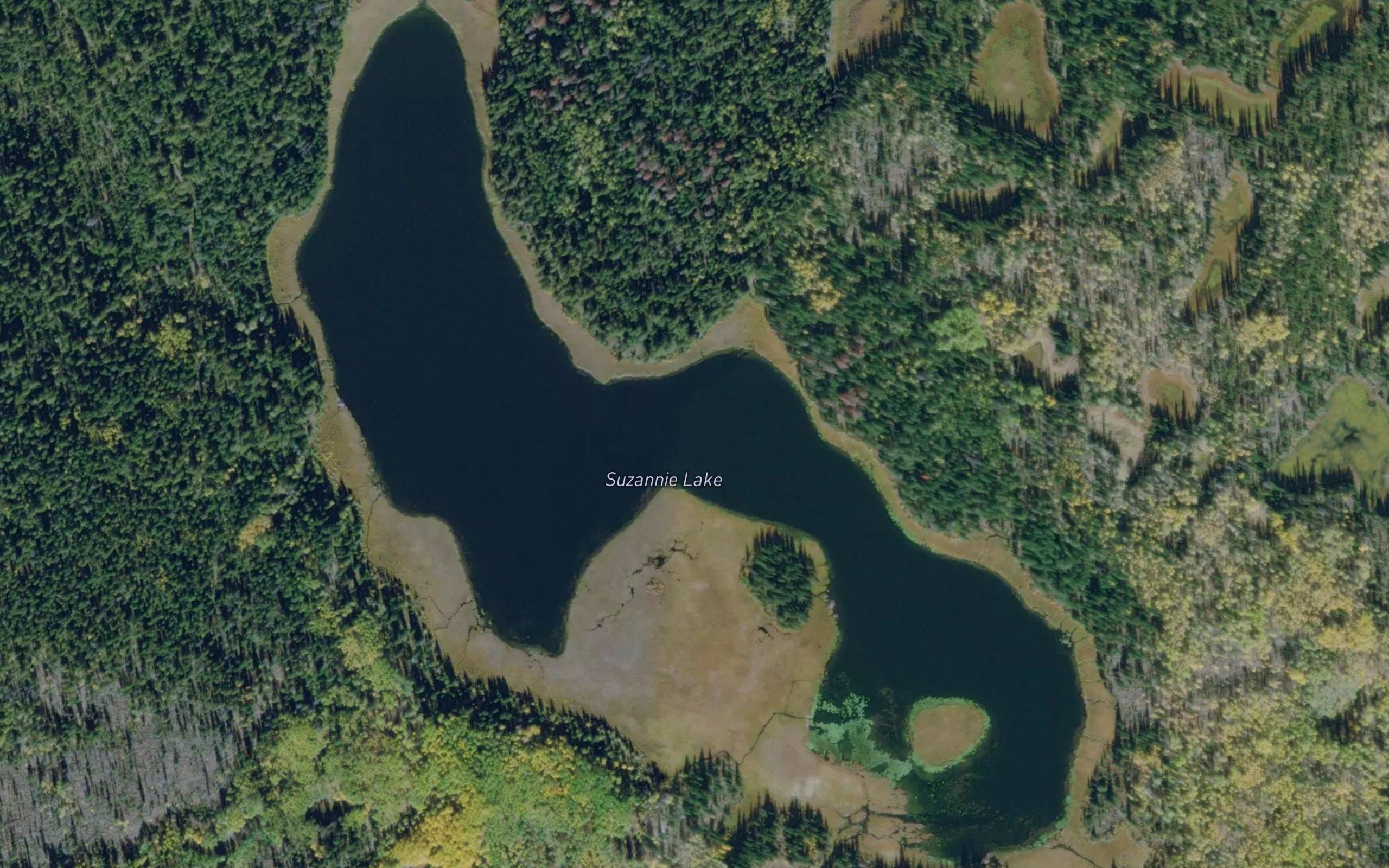 Suzannie Lake