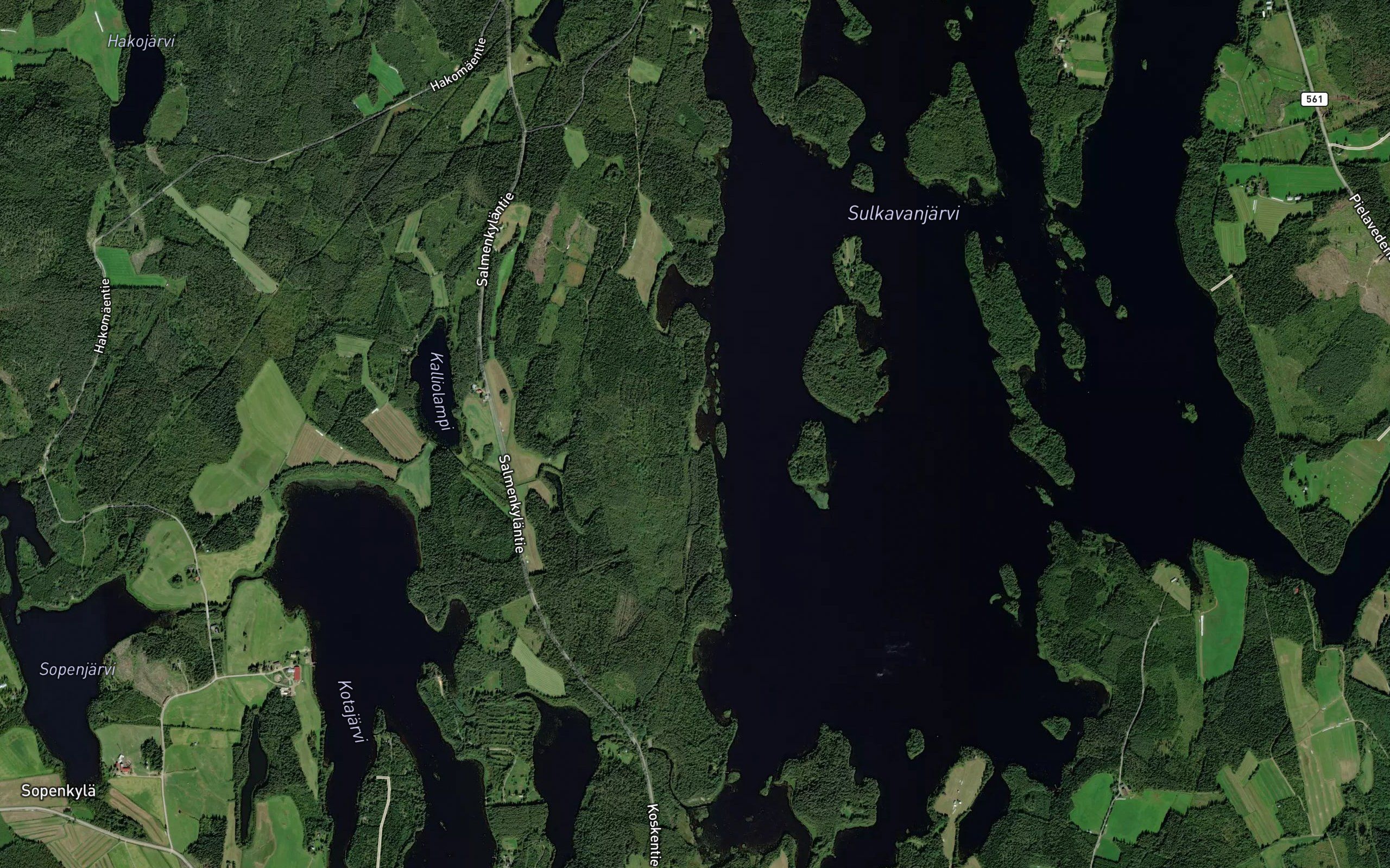 Ruunakaarre