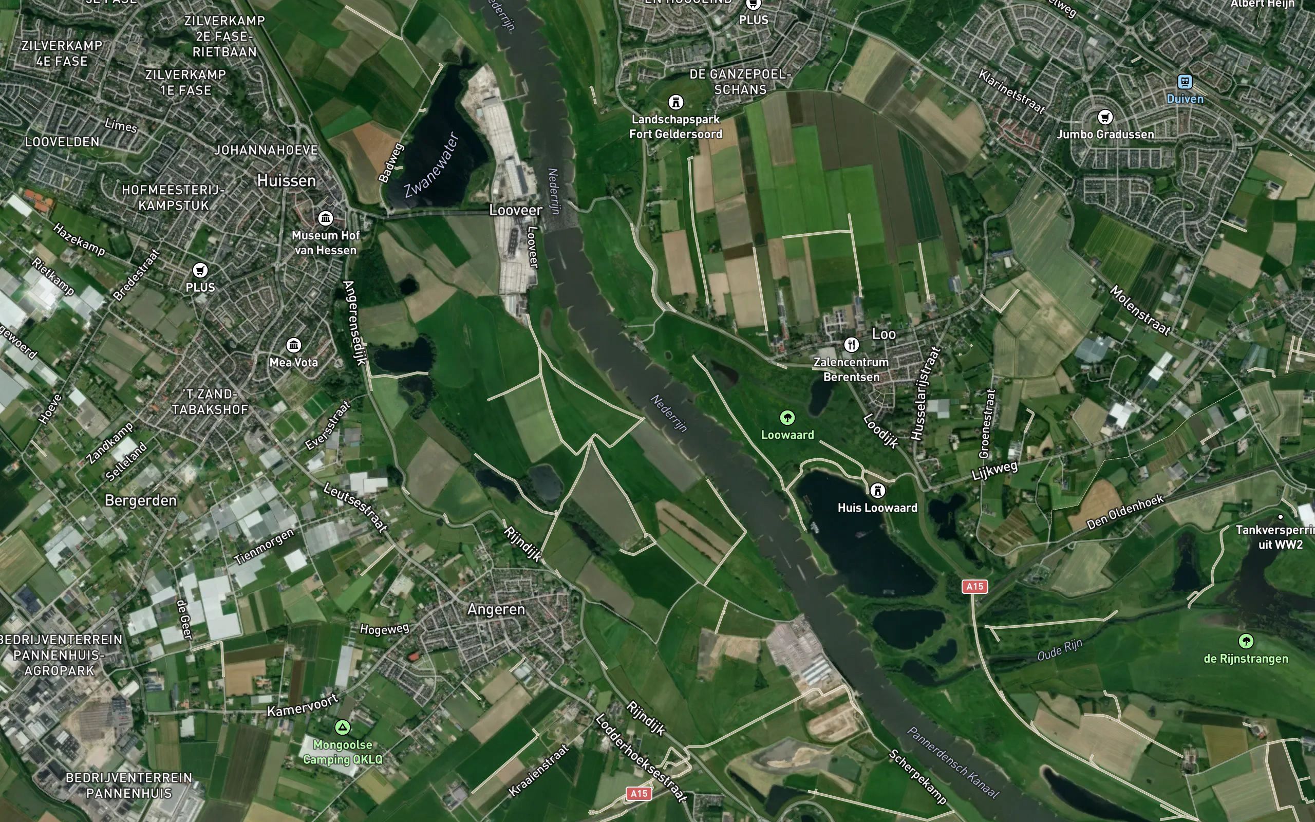 Rijn