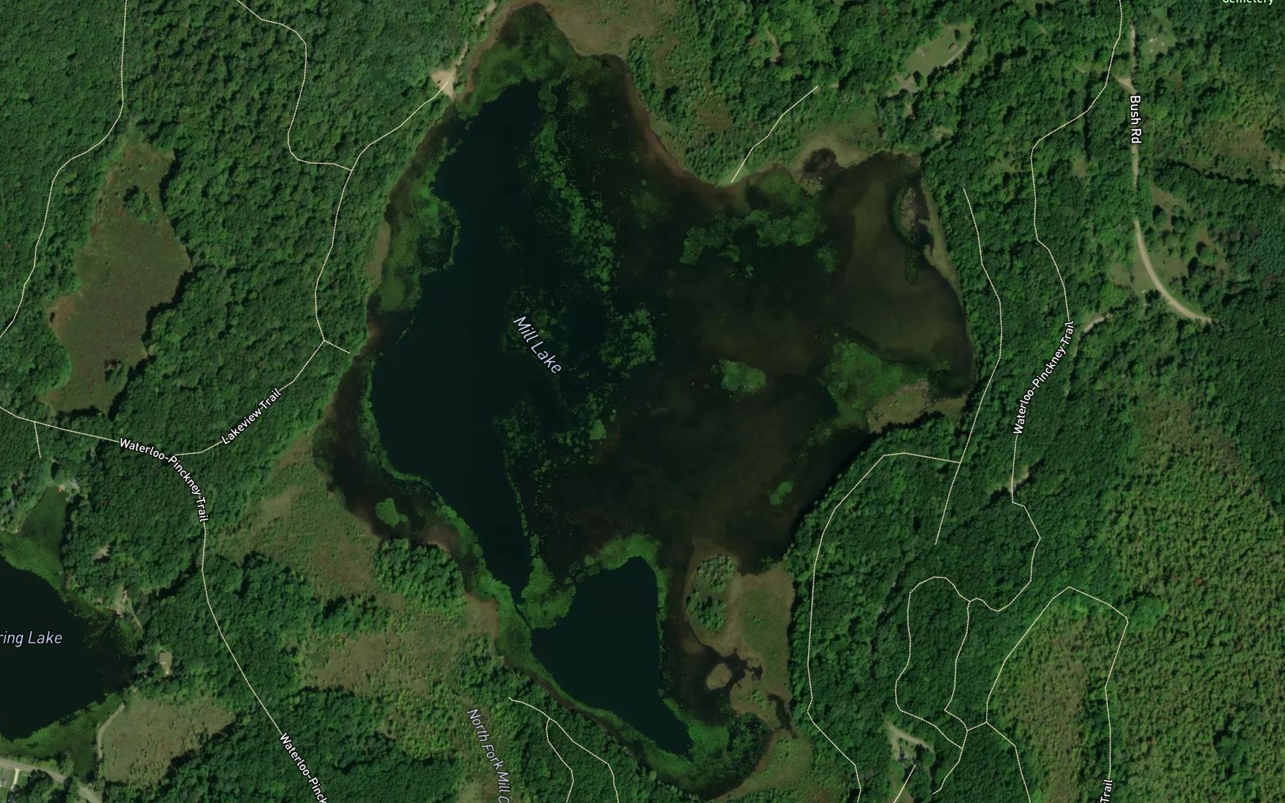 Satellite map of the Mill Lake