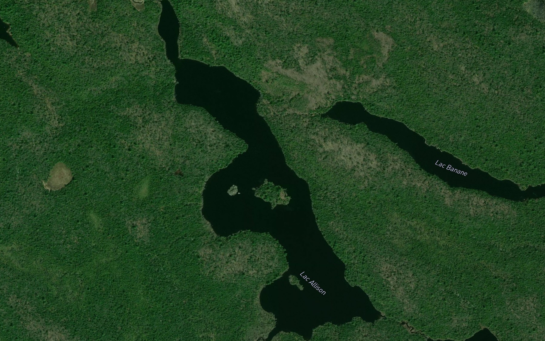 Satellite map of the Lac Allison