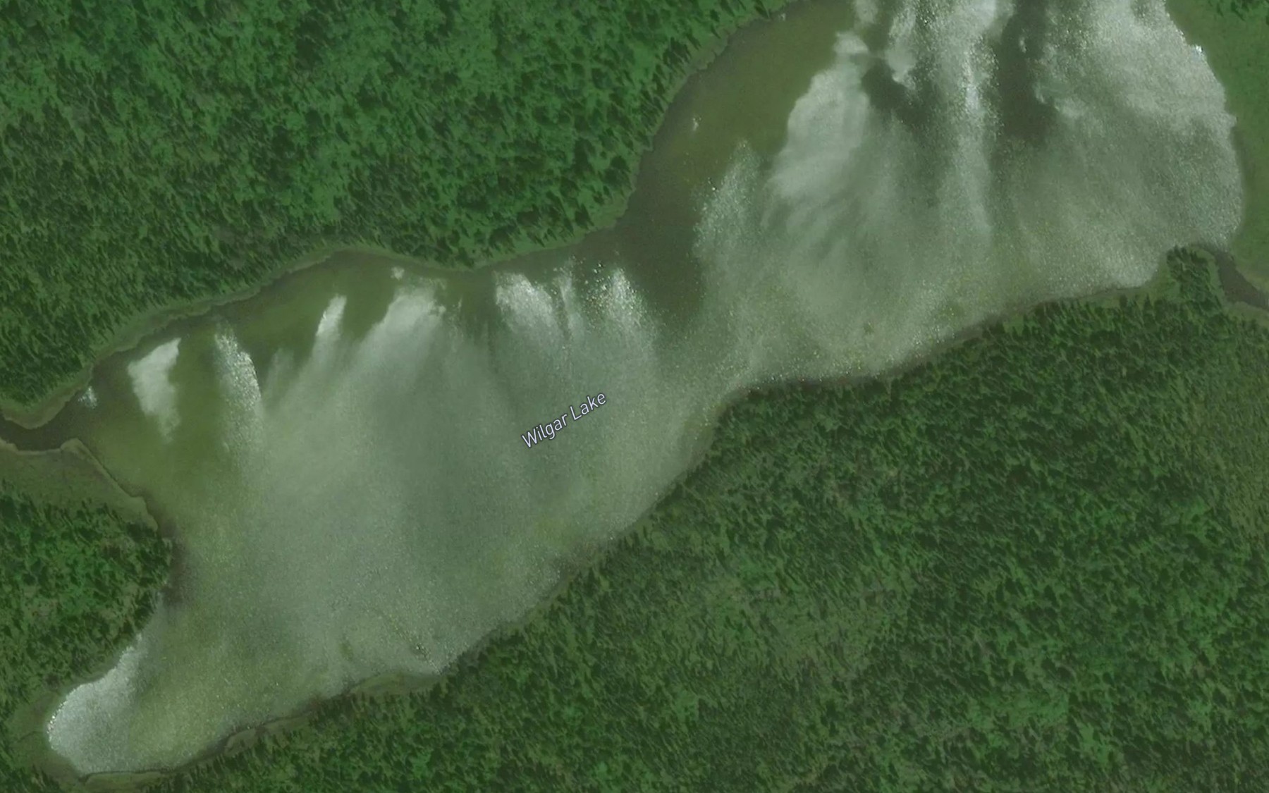 Satellite map of the Wilgar Lake