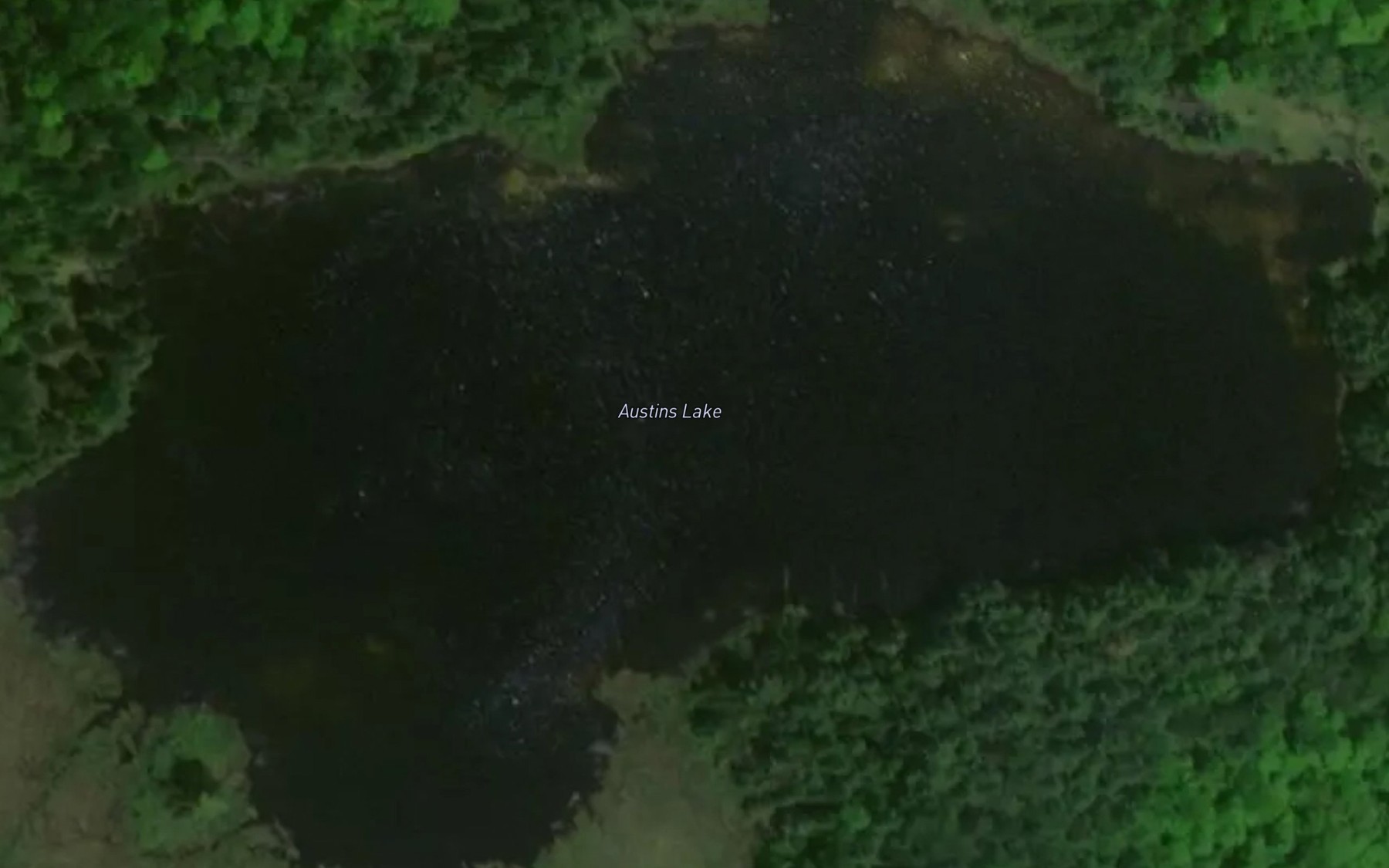 Satellite map of the Austins Lake