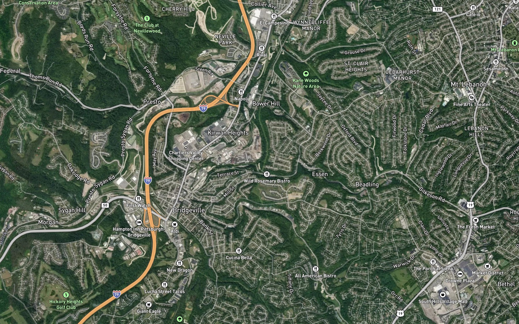 Satellite map of the Painters Run