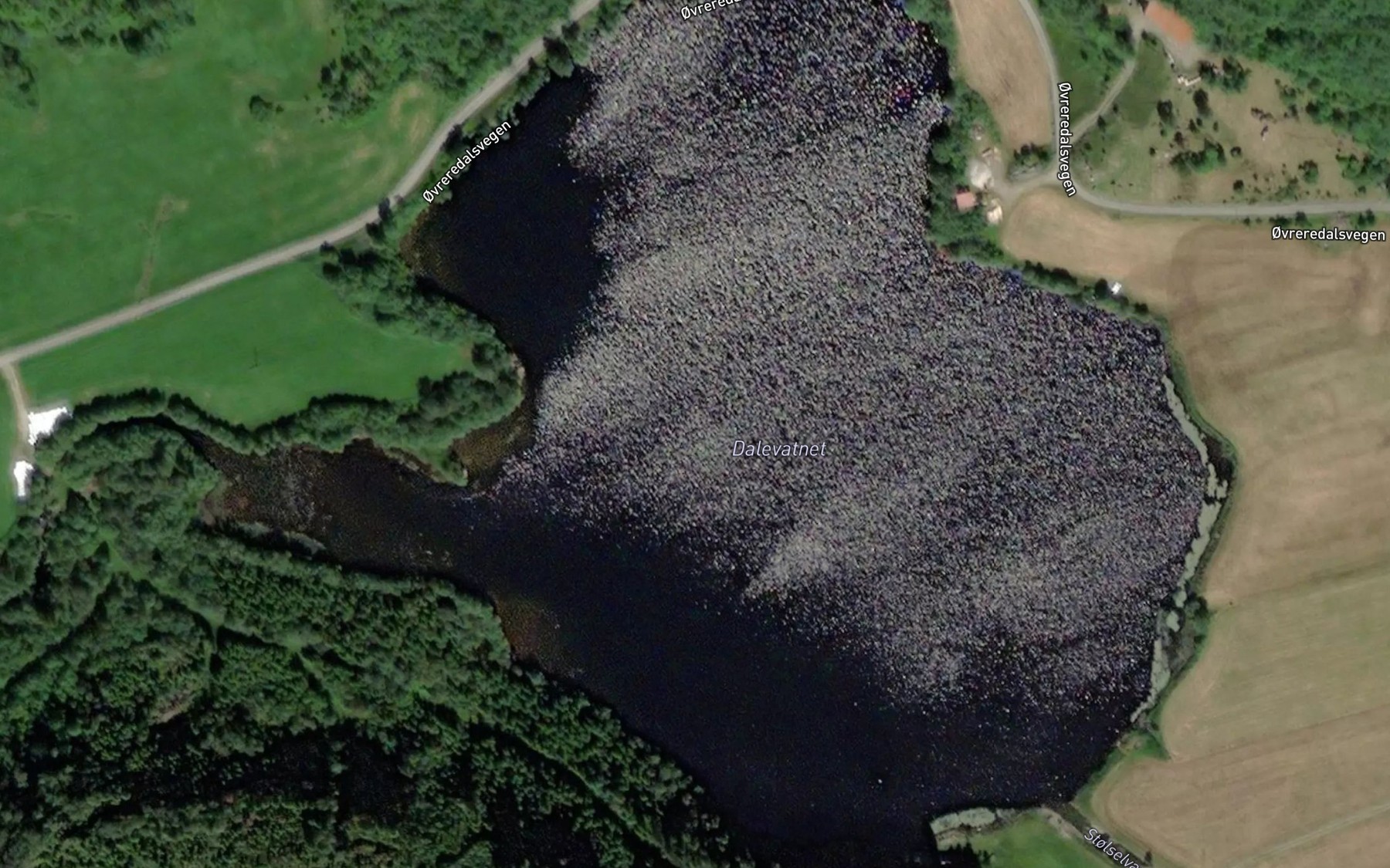 Satellite map of the Dalevatnet