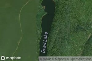 Dead Lake