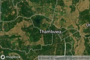 Thambuwa Wewa