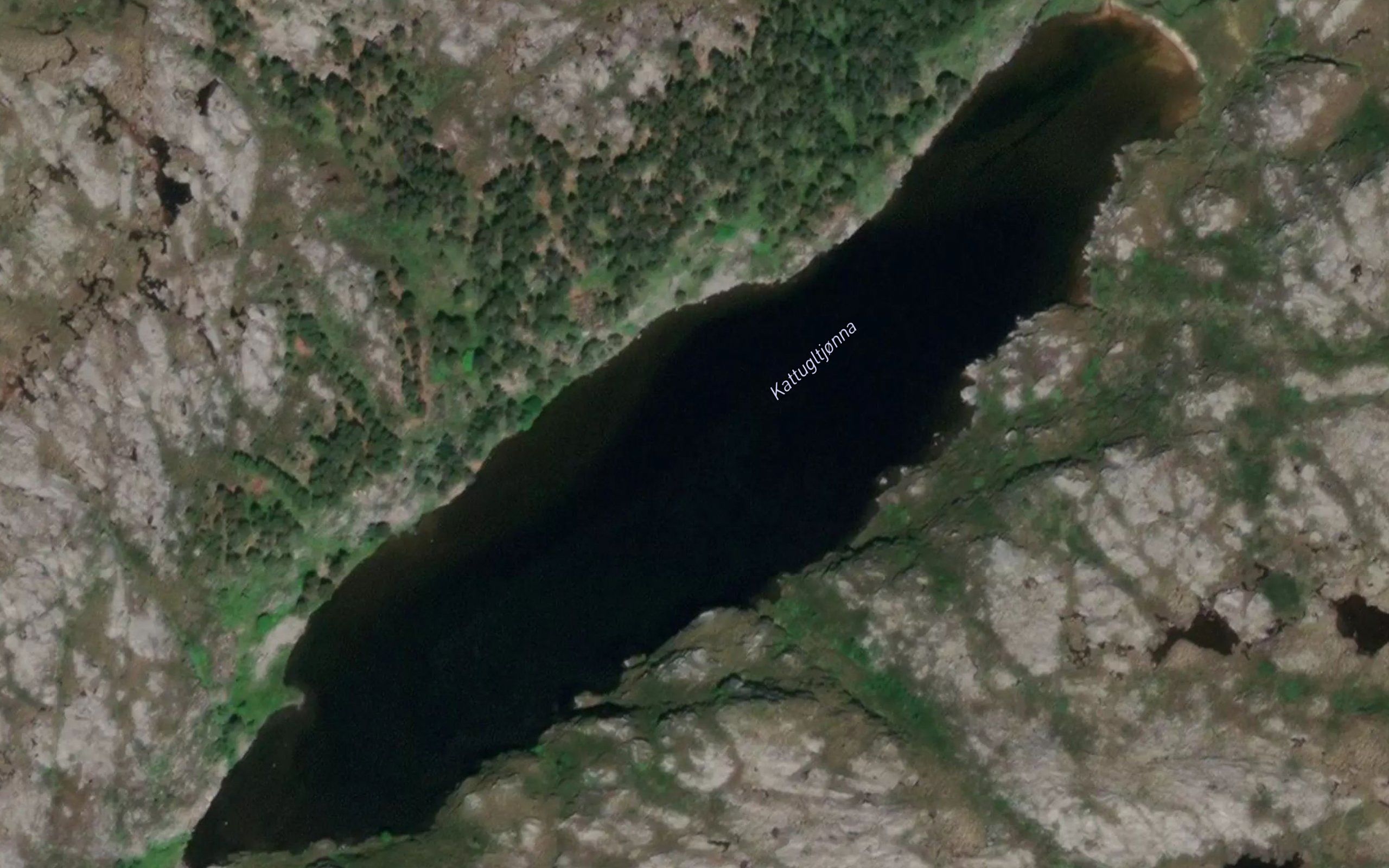 Kattugletjorna