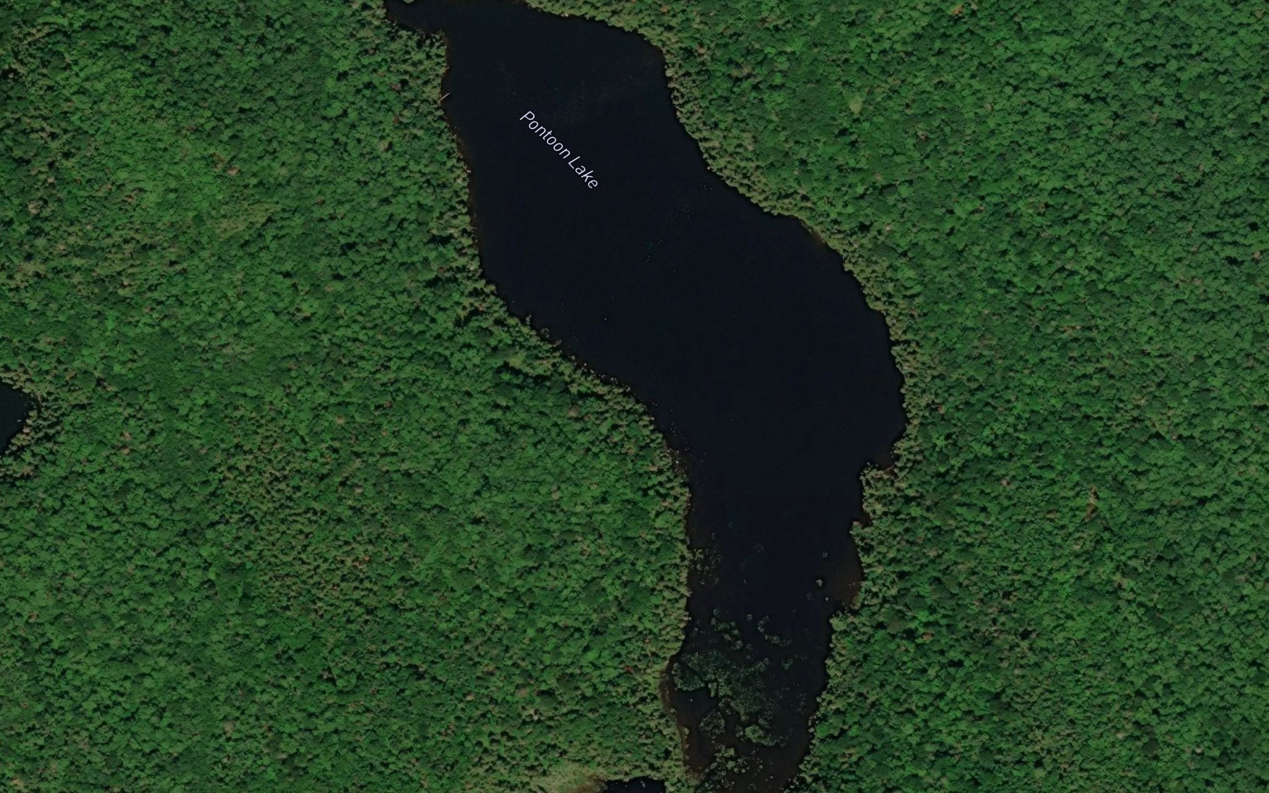Satellite map of the Pontoon Lake