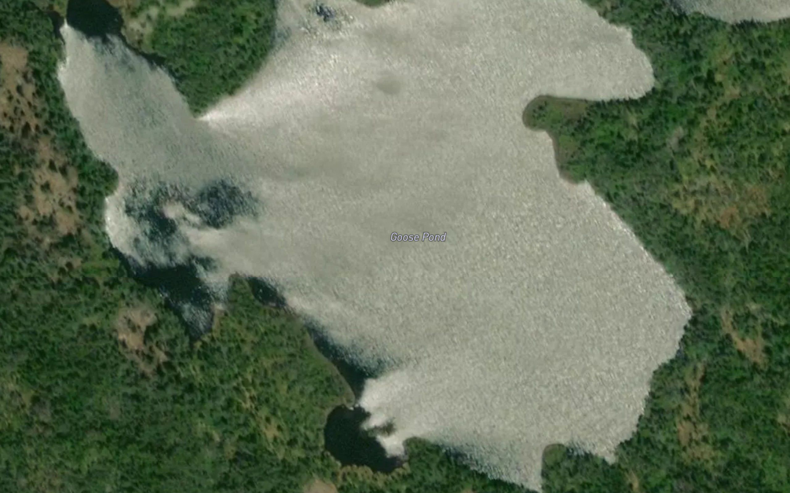 Goose Pond