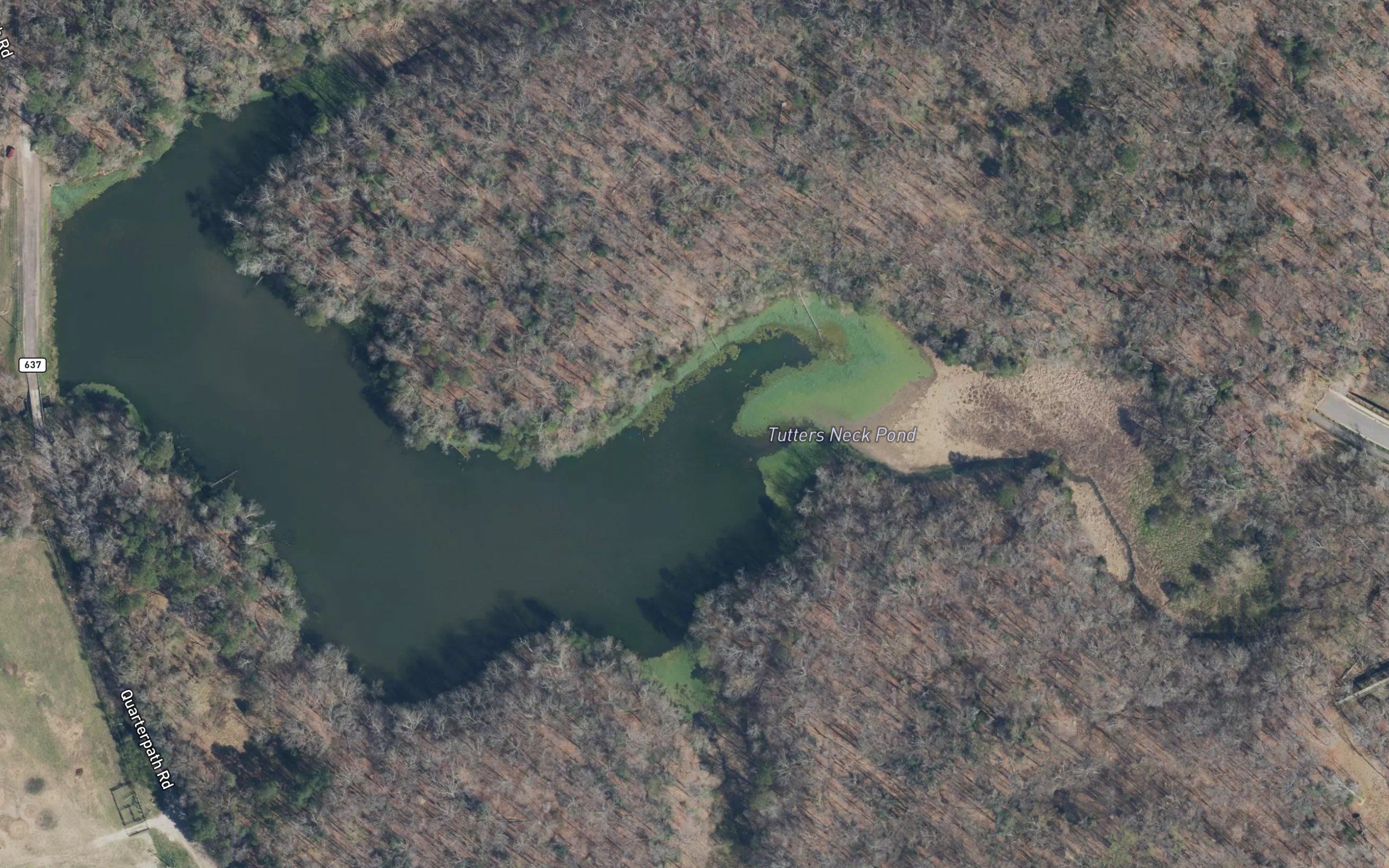 Tutters Neck Pond