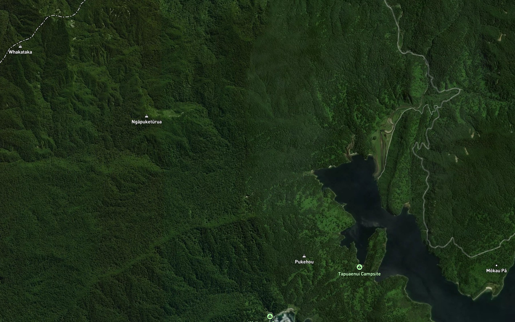 Satellite map of the Tawhitinui Stream