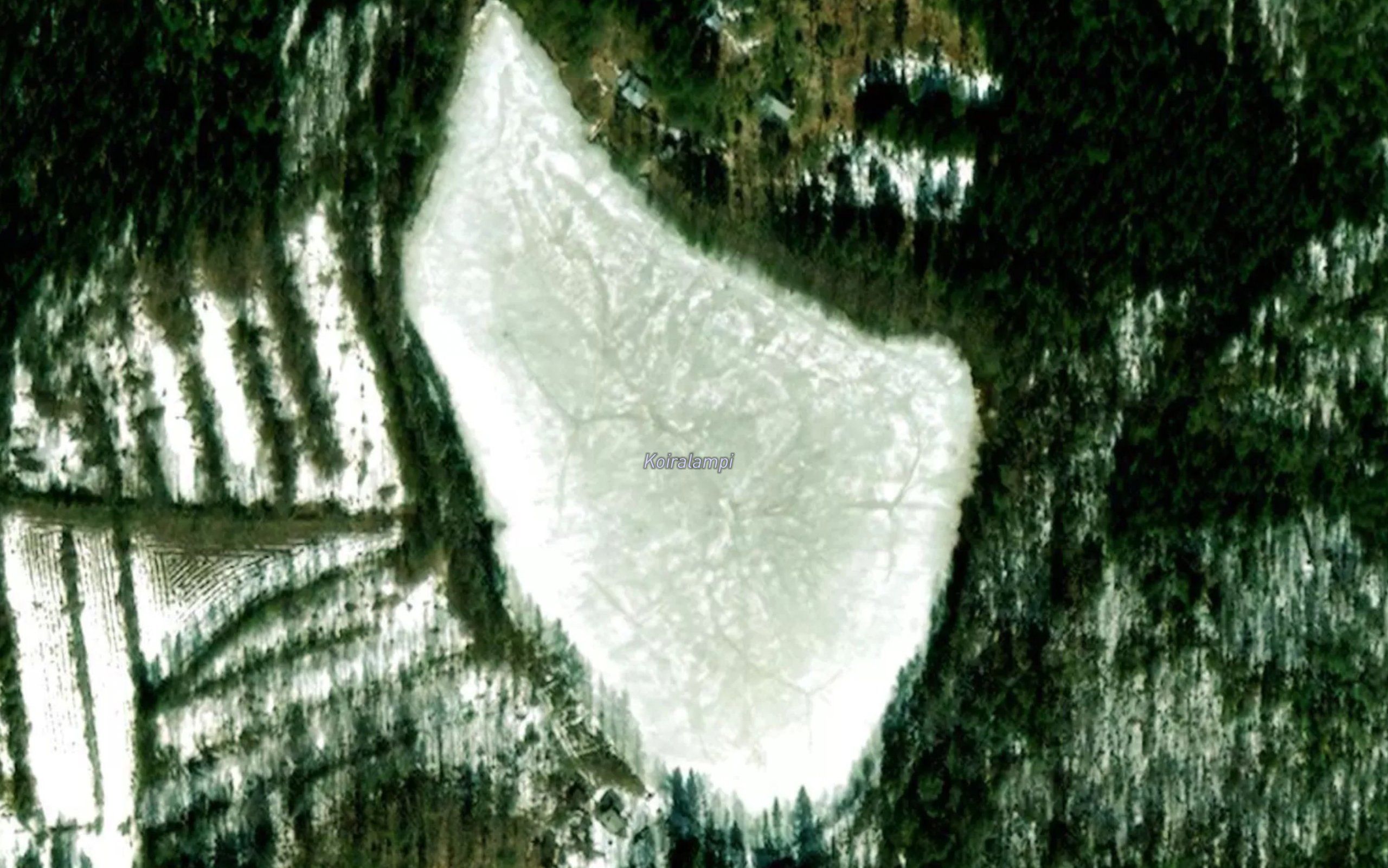 Koiralampi