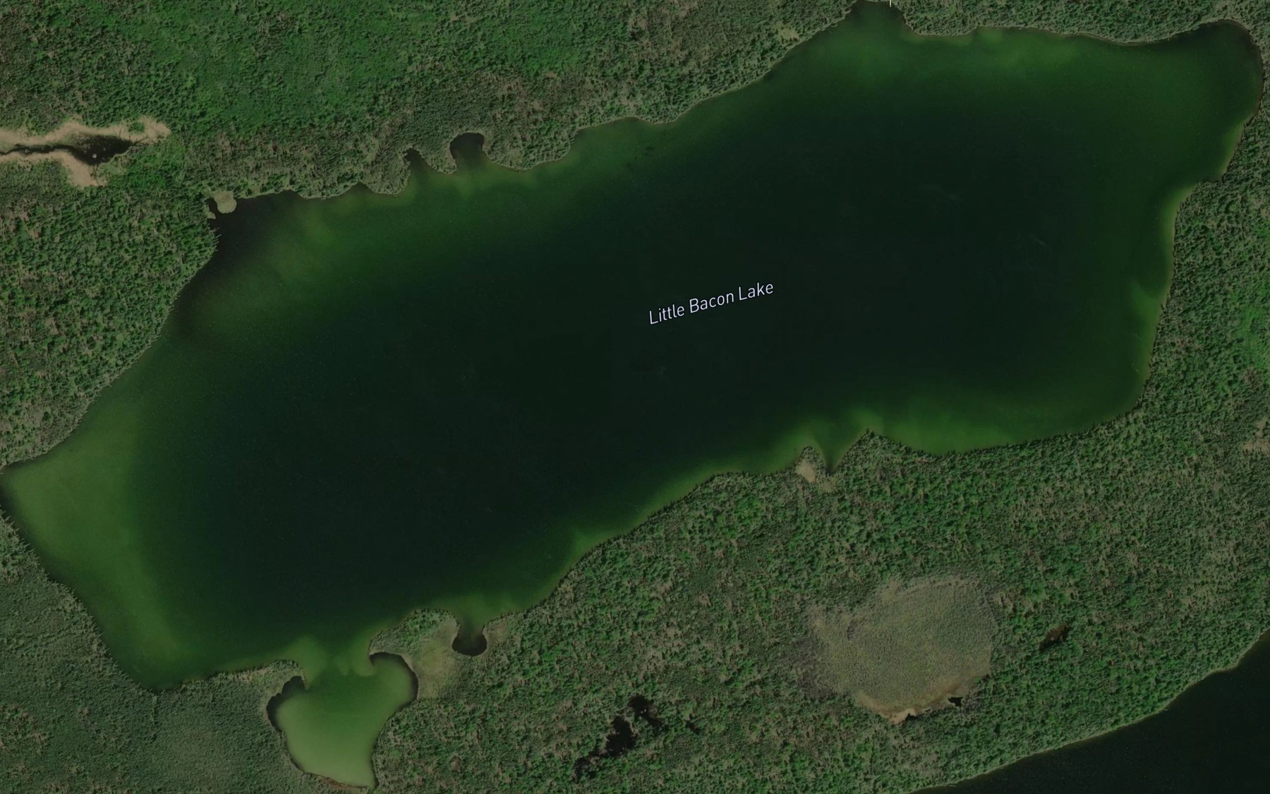 Satellite map of the Little Bacon Lake
