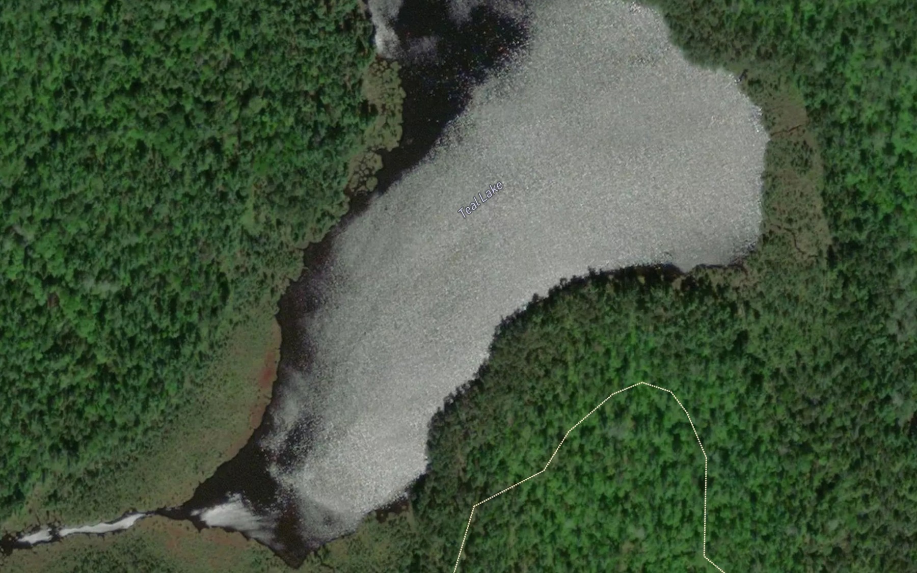 Satellite map of the Teal Lake