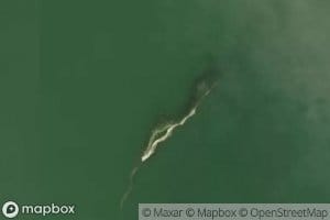 Sucker Reef