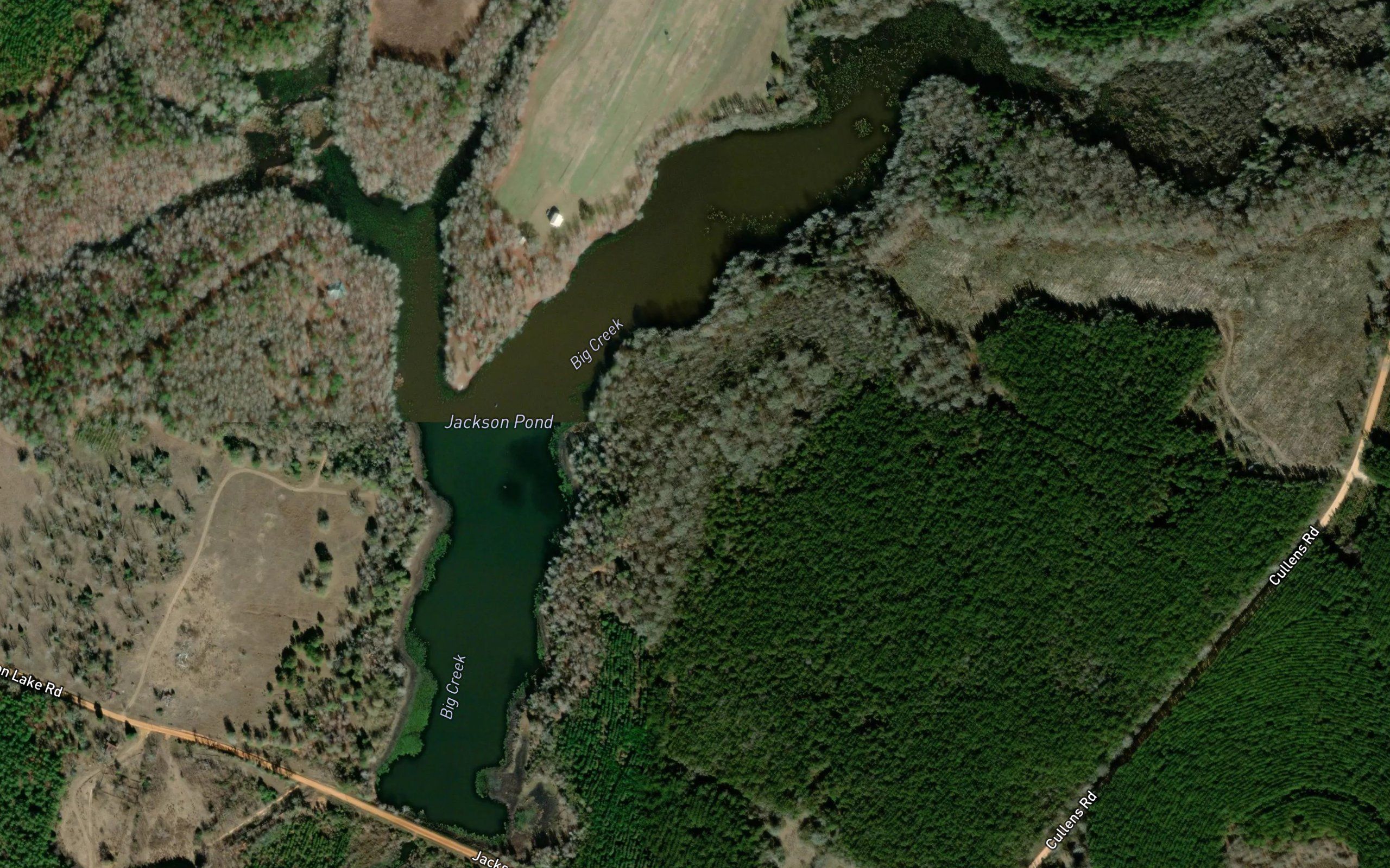 Jackson Pond