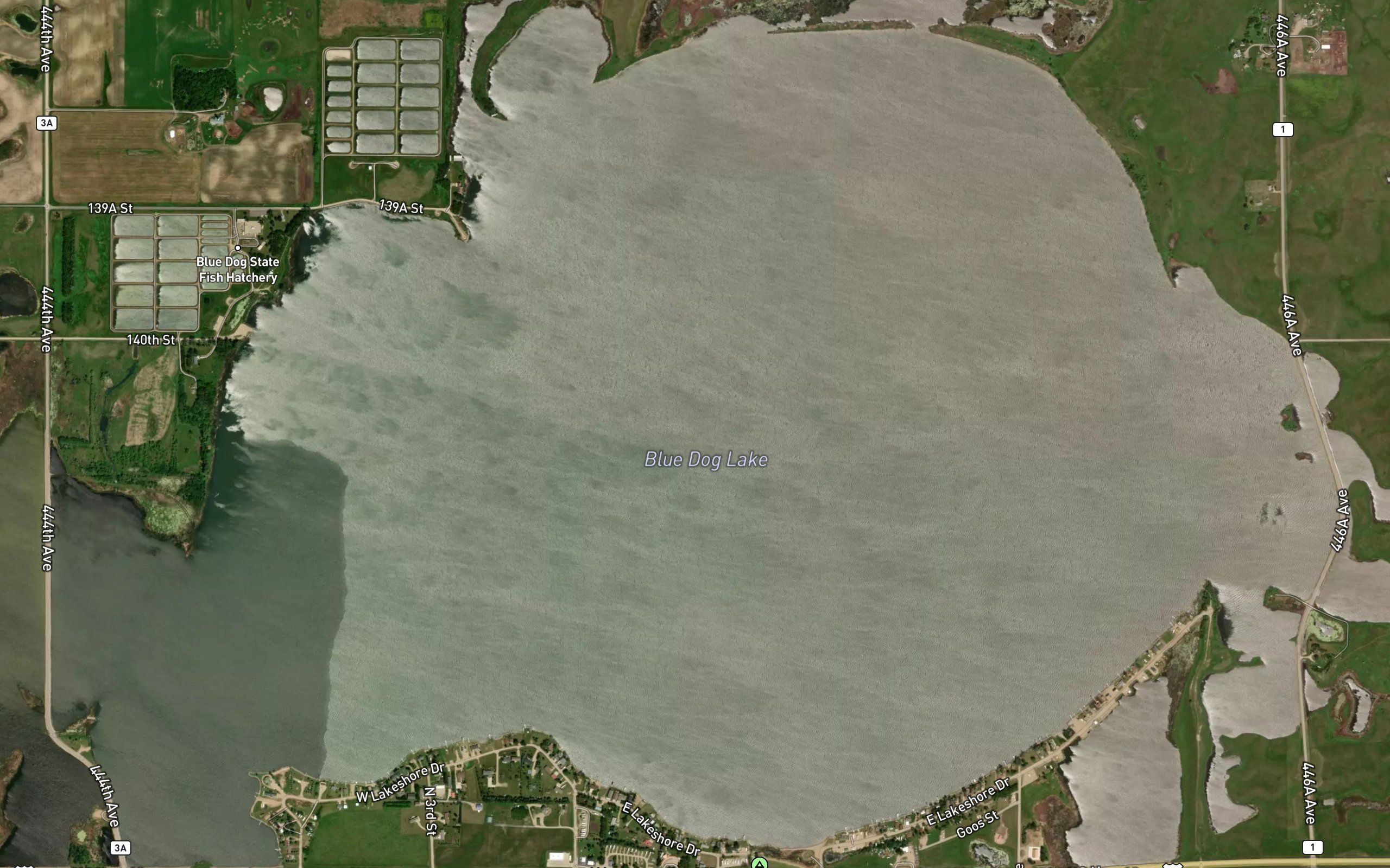 Blue Dog Lake