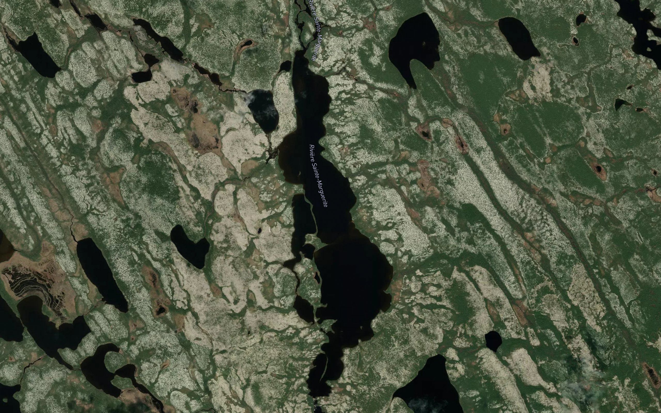 Petit lac des Cedres