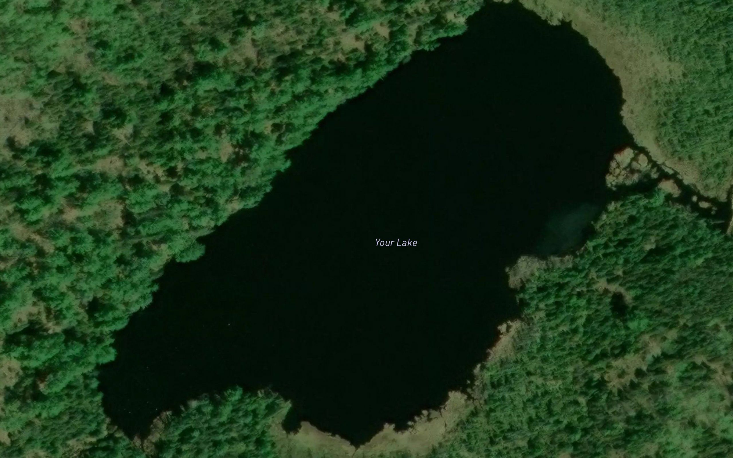 Your Lake