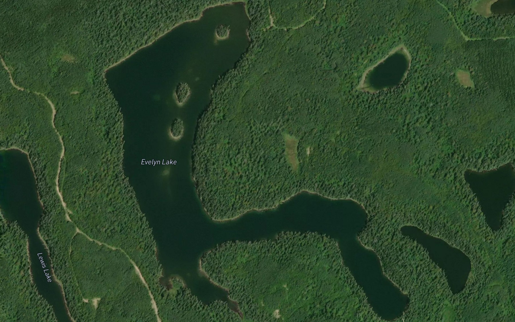 Satellite map of the Evelyn Lake