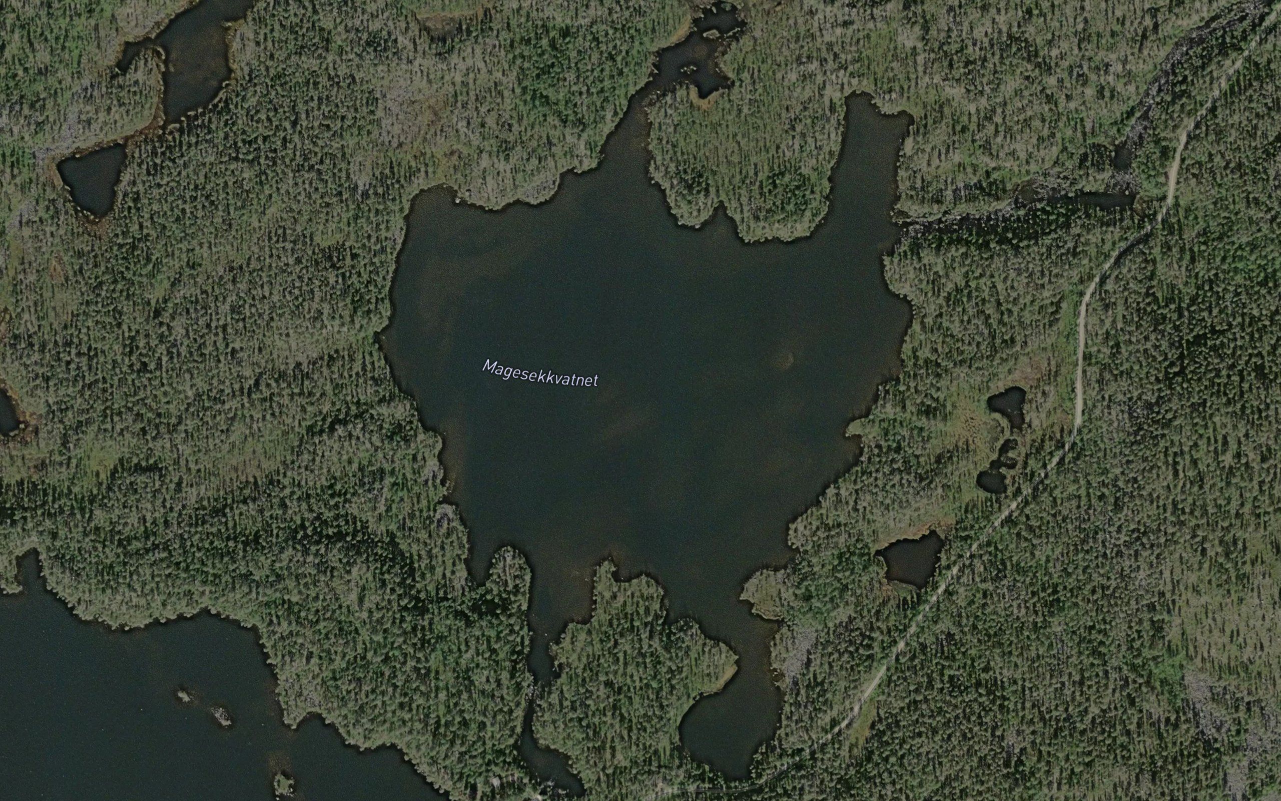 Magesekkvatnet