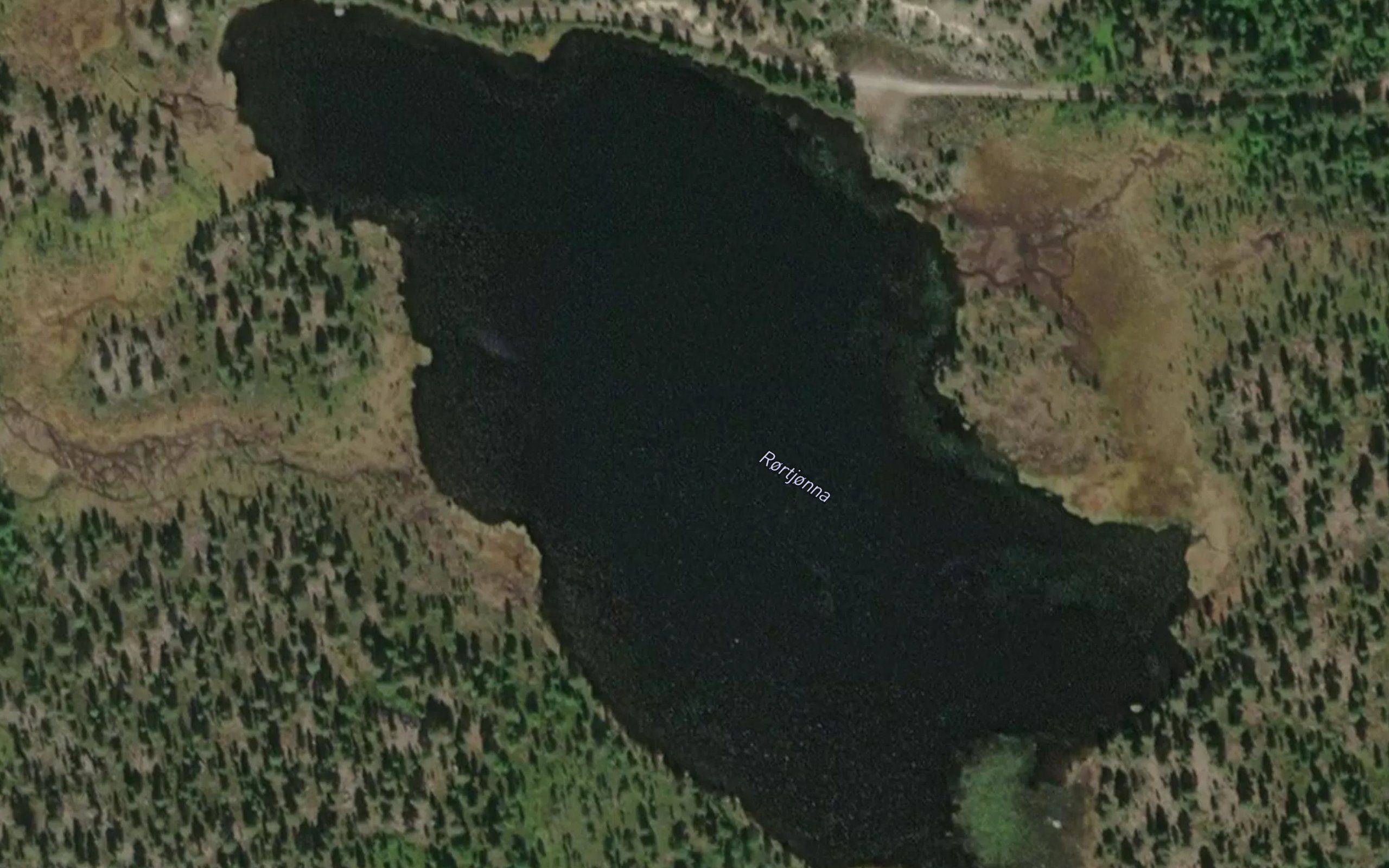 Rortjorn
