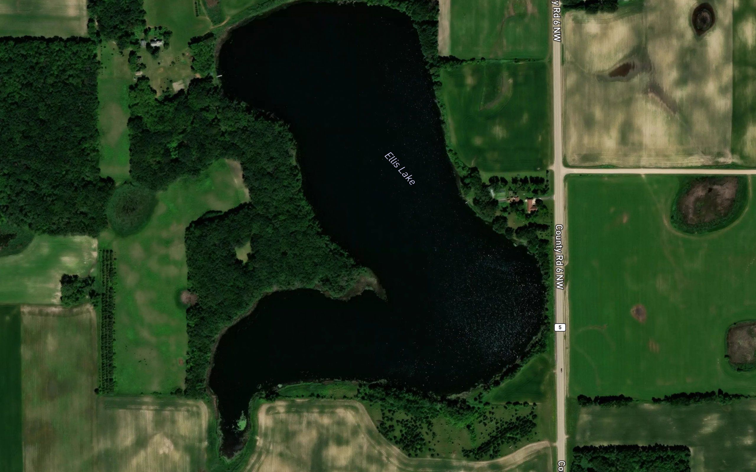 Ellis Lake