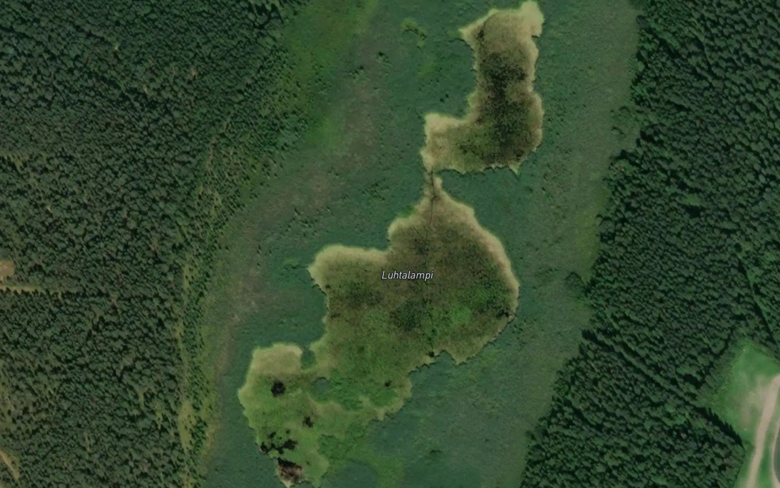 Luhtalampi